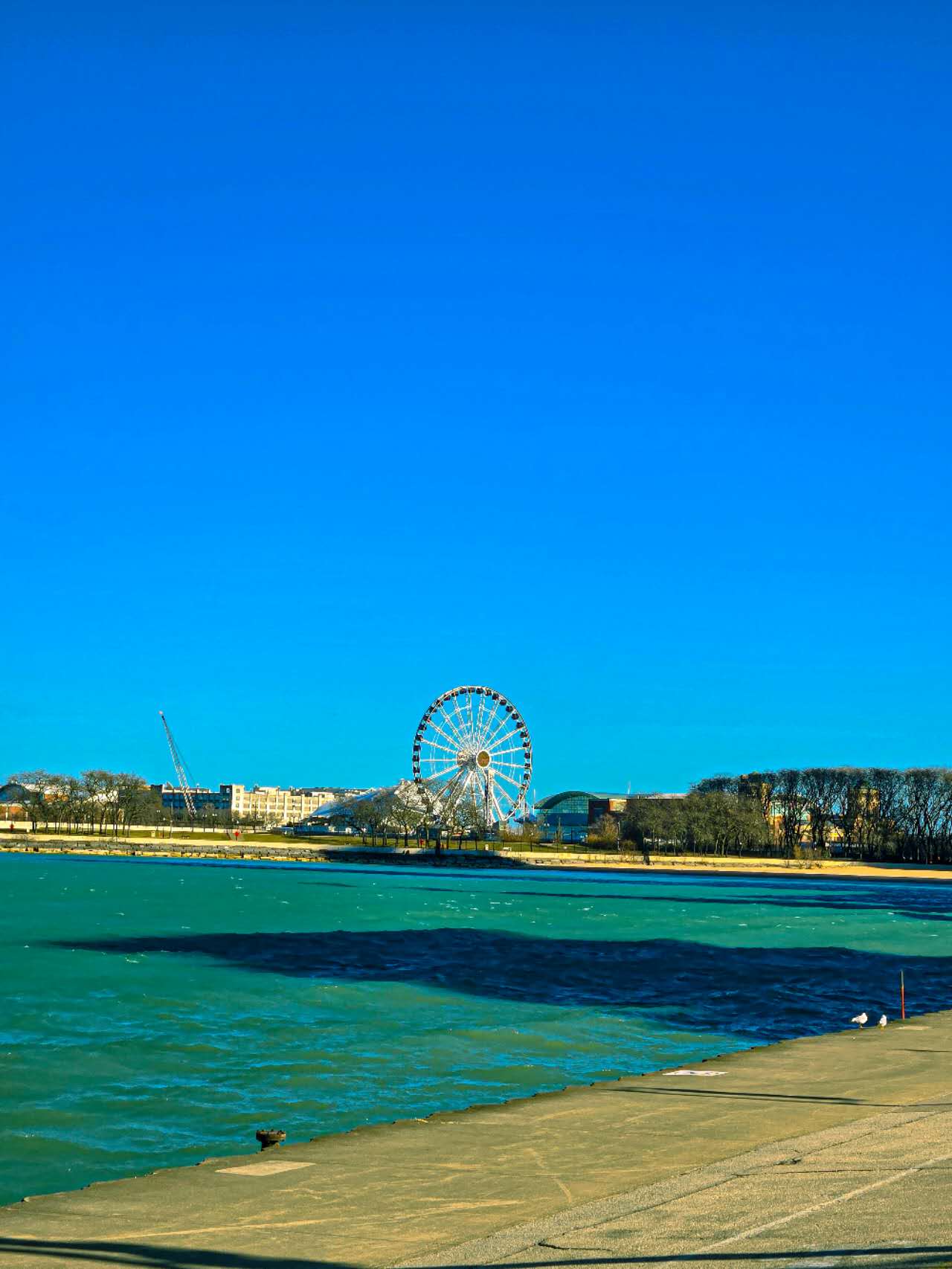 Viewing Navy Pier from afar Viewing Navy Pier from afar